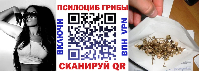 Псилоцибиновые грибы MAGIC MUSHROOMS  как найти наркотики  Шацк 